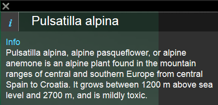 expanded info widget